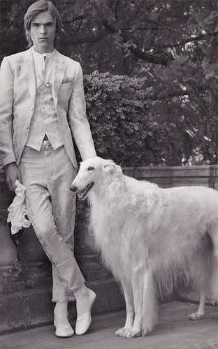 M1 photo barzoi1