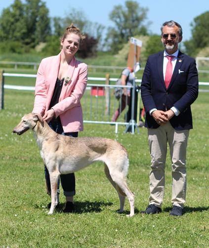 cacs bob elif akacjana