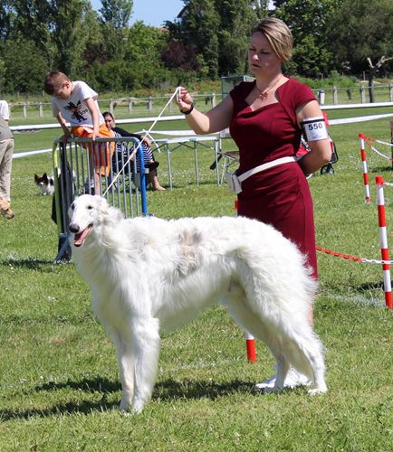 cacs bob thunder crack de lhermitage deole