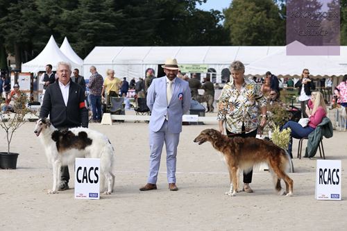 CACS ET RCACS FEMELLES